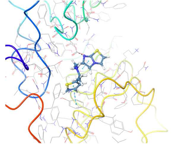  Immuno-Oncology Library From Enamine