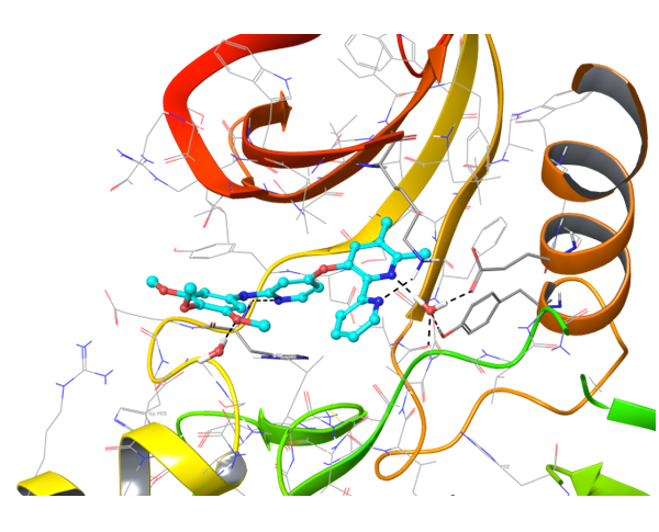  Immuno-Oncology Library From Enamine