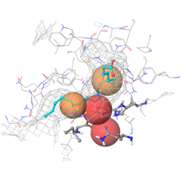  Lipoxygenase Library From Enamine