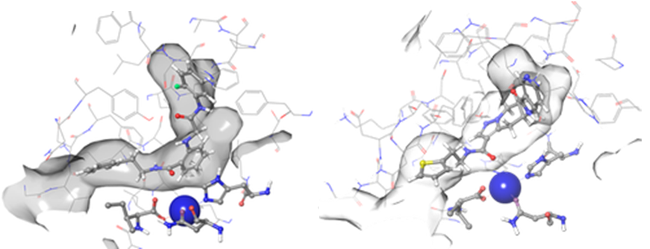  Lipoxygenase Library From Enamine