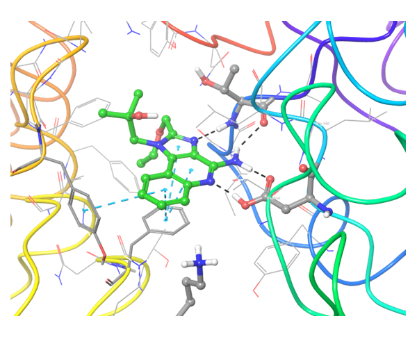 Immuno-Oncology Library From Enamine