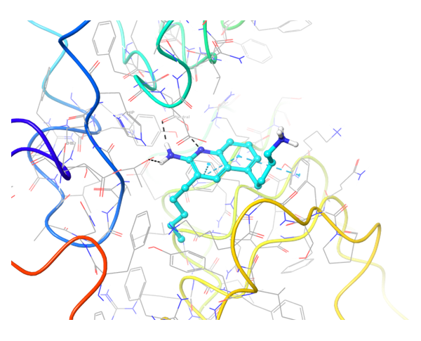  Immuno-Oncology Library From Enamine