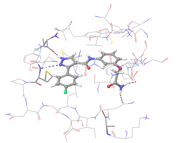  Immuno-Oncology Library From Enamine