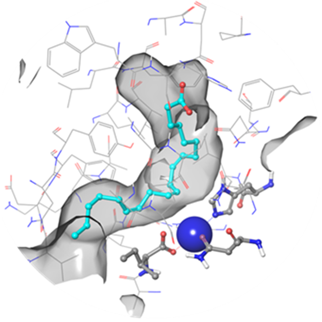  Lipoxygenase Library From Enamine