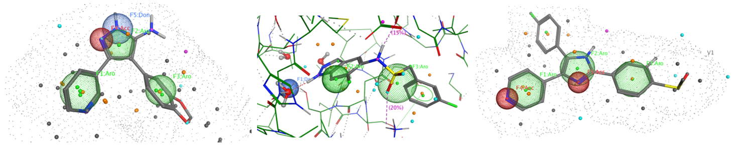  Molecular Chaperones Library From Enamine