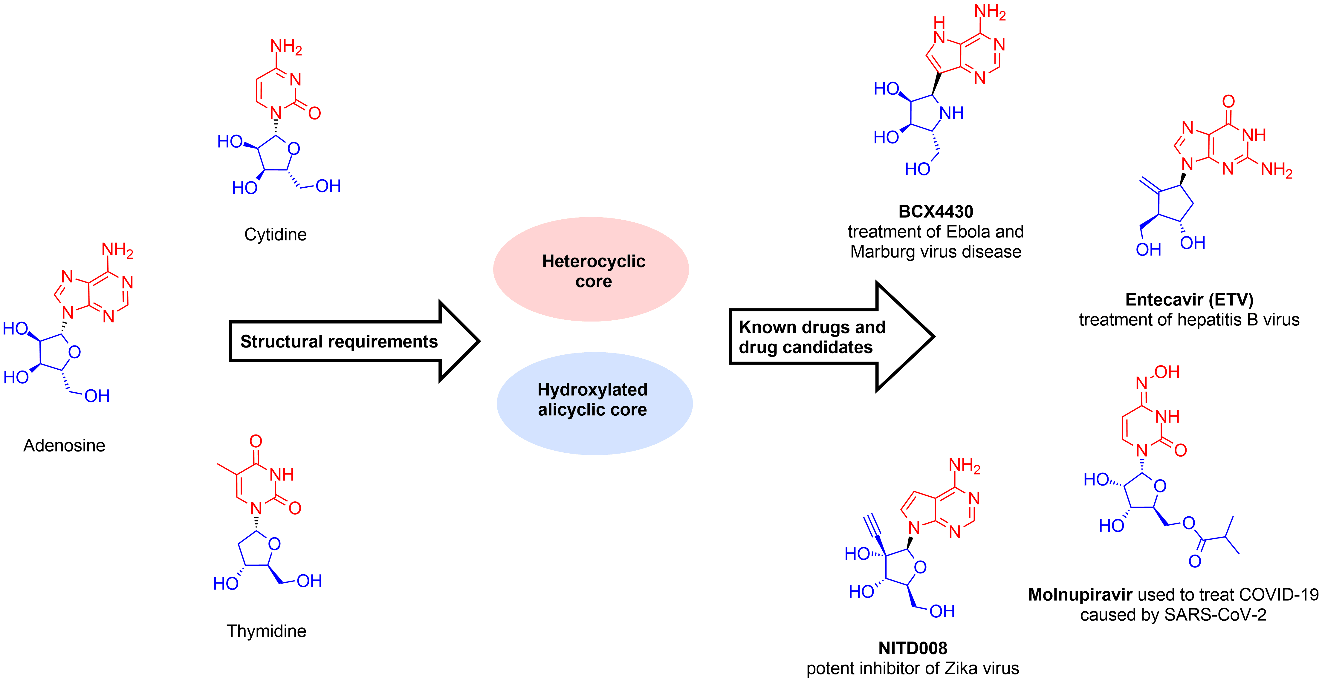  Nucleoside Mimetics From Enamine