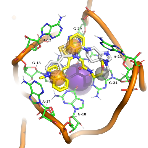  EN RNA Library From Enamine