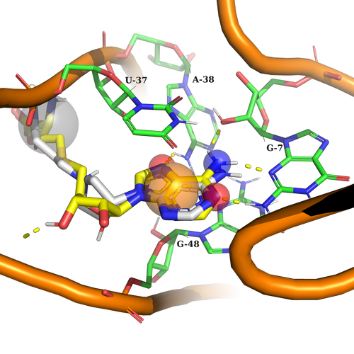  EN RNA Library From Enamine