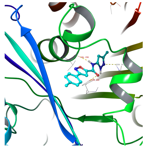  Tubulin Library From Enamine