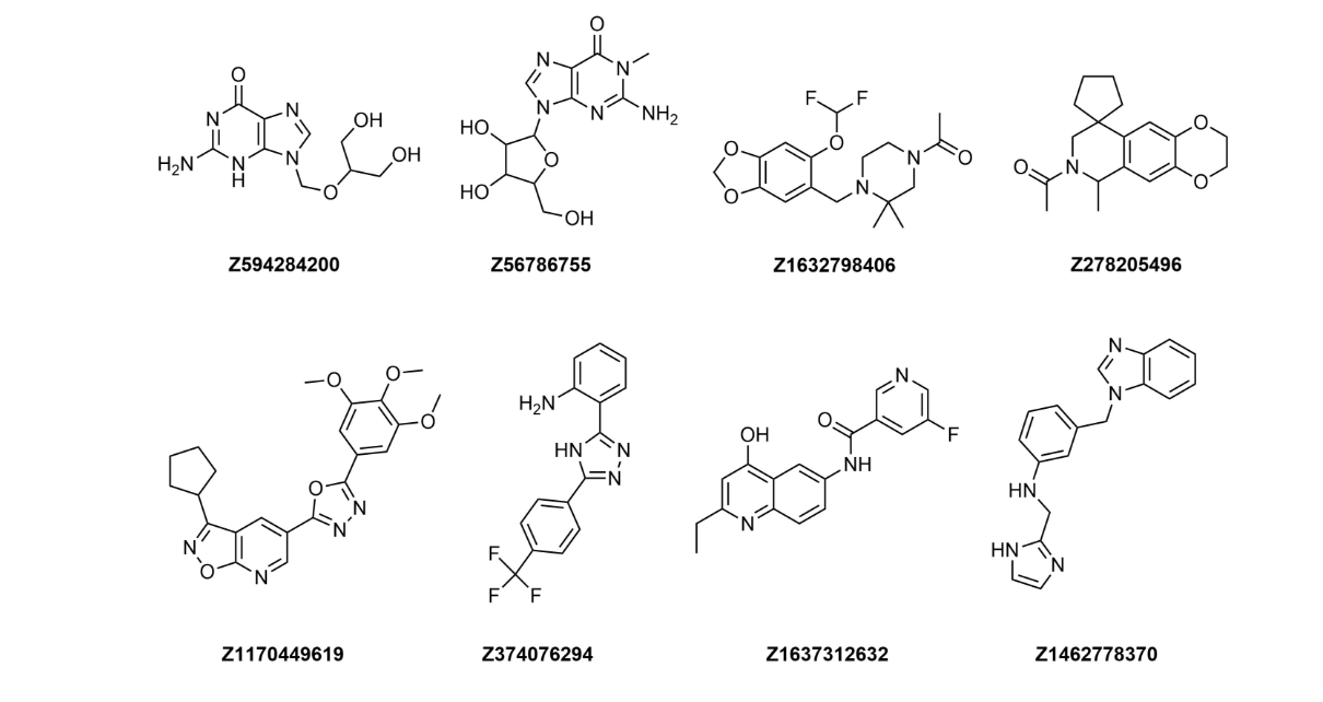  Tubulin Library From Enamine