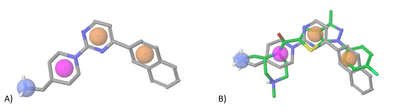  Wnt Pathway Library