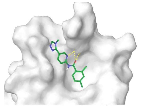  Wnt Pathway Library