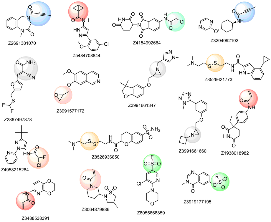  EN Covalent Fragment Library From Enamine