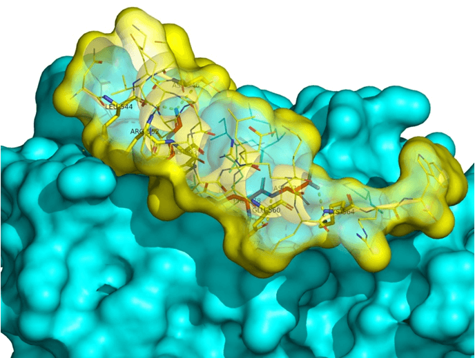  Protein-Protein Interaction Library From Enamine