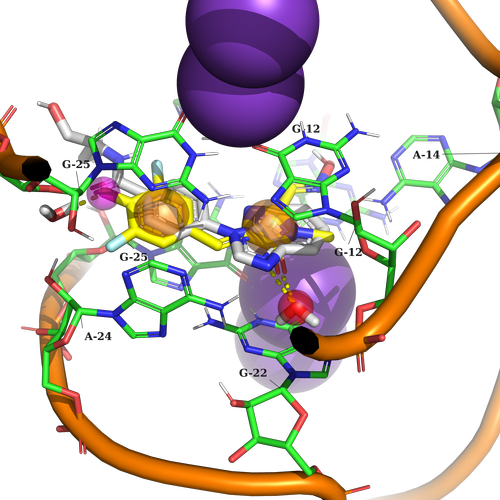  EN RNA Library From Enamine