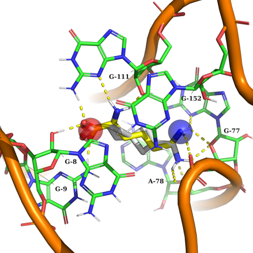  EN RNA Library From Enamine