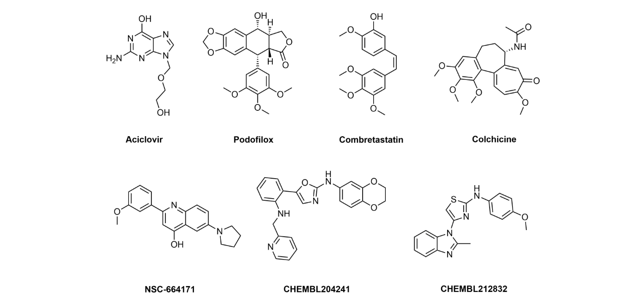 Tubulin Library From Enamine