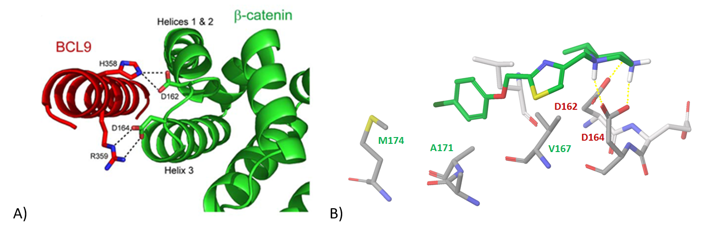  Wnt Pathway Library