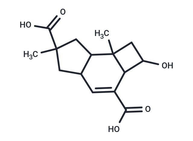 2-hydroxy-6,7b-dimethyl-1H,2H,2aH,4aH,5H,6H,7H,7aH,7bH-cyclobuta[e]indene-3,6-dicarboxylic acid