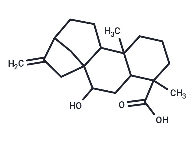 2-hydroxy-5,9-dimethyl-methylidenetetracyclo[11.2.1.0^{1,10}.0^{4,9}]hexadecane-5-carboxylic acid