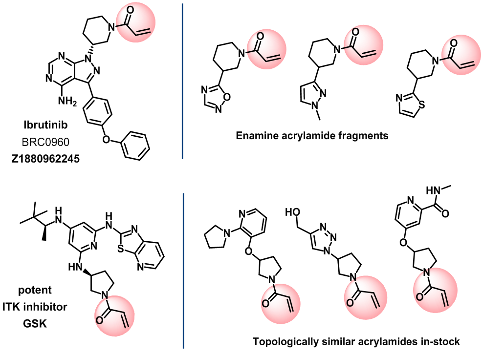  Acrylamide Fragments