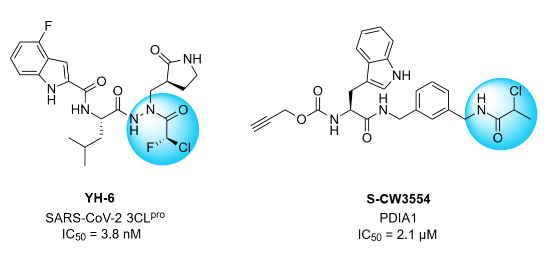  Chloroacetamide Screening Library