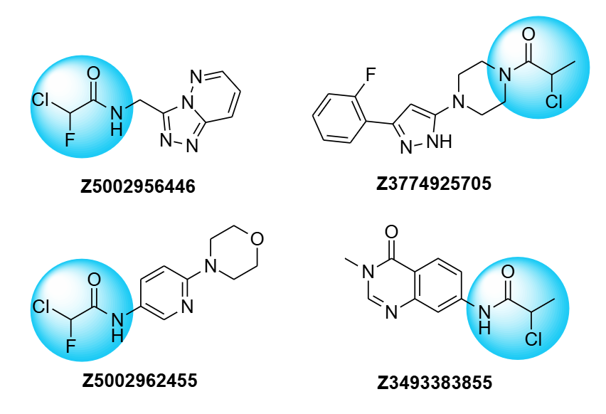  Chloroacetamide Screening Library