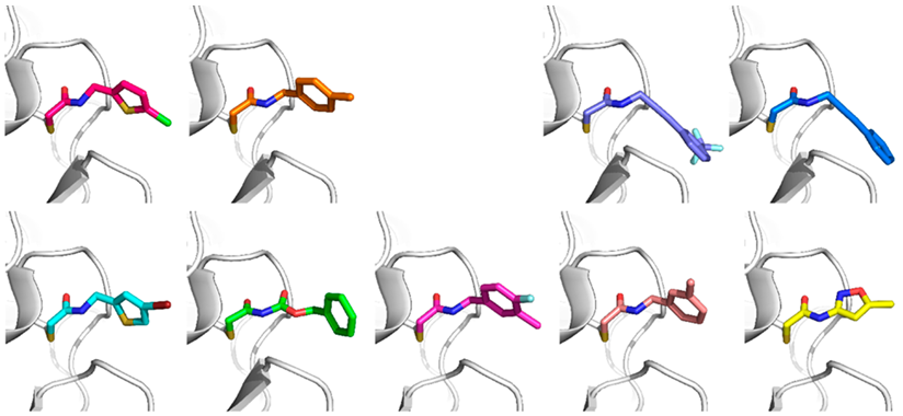  Electrophilic Covalent Probe Library From Enamine