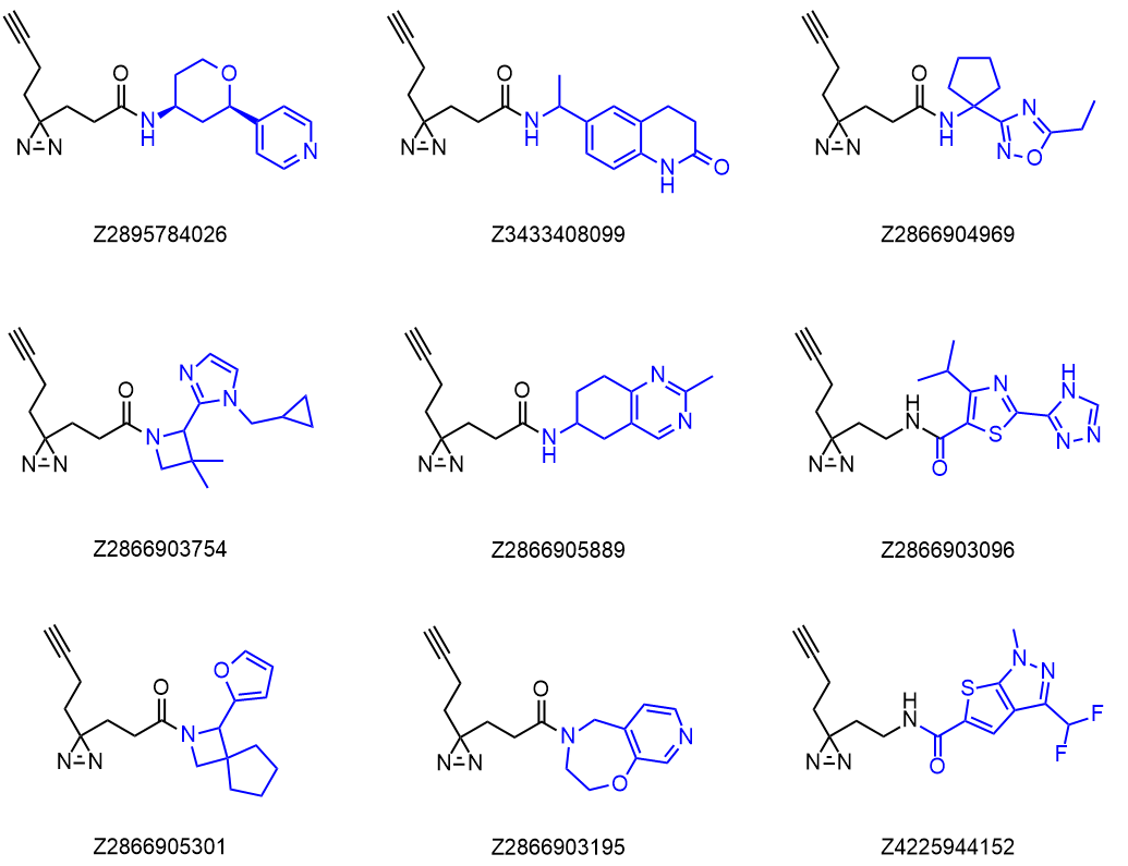  Fully Functionalized Probe Library From Enamine