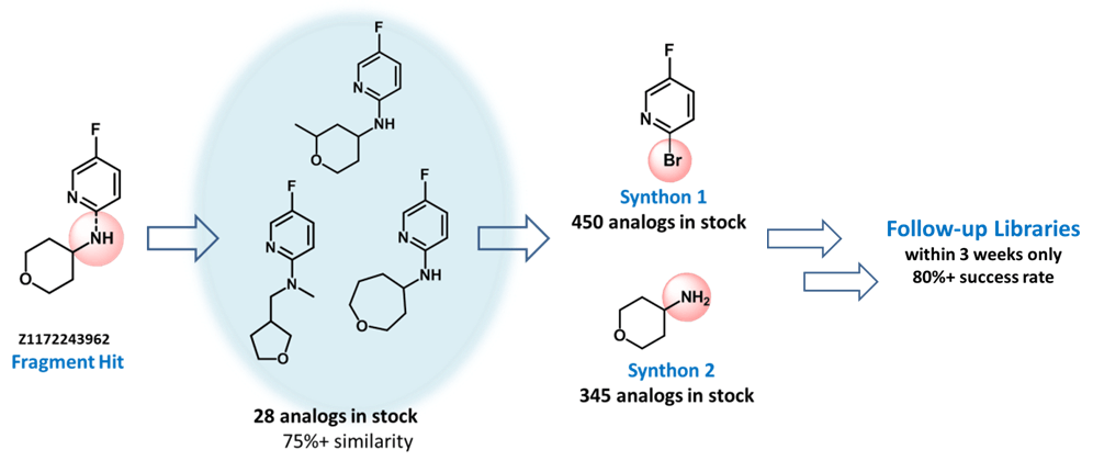  DSI-poised Library From Enamine