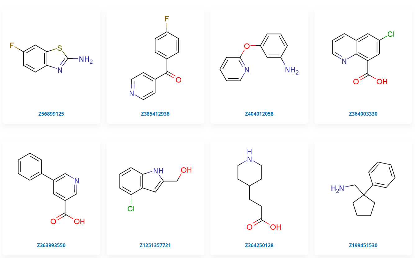  Essential Fragment Library From Enamine