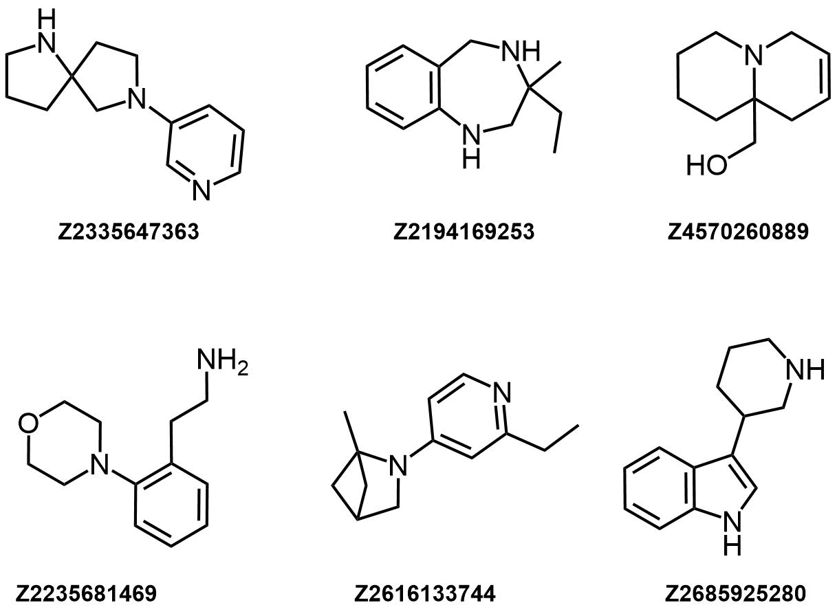  CNS Fragment Library