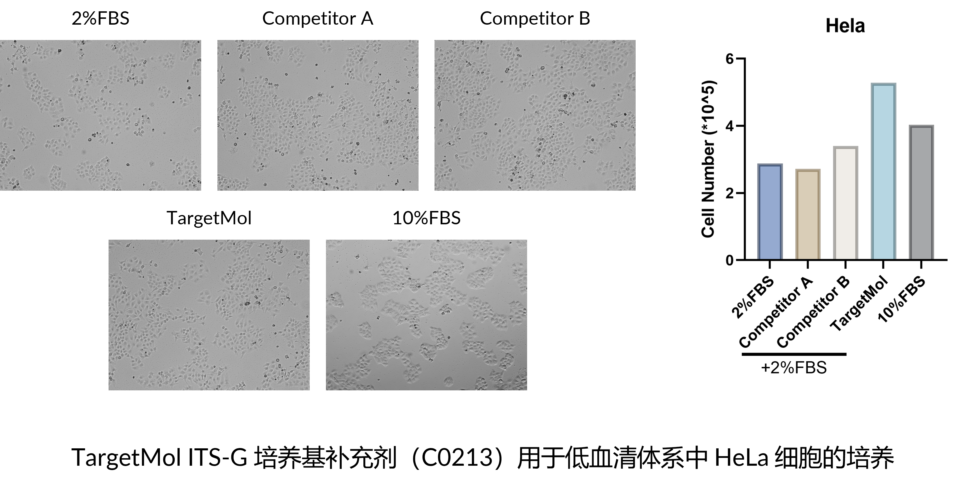  Insulin-Transferrin-Selenium Supplement (100×)