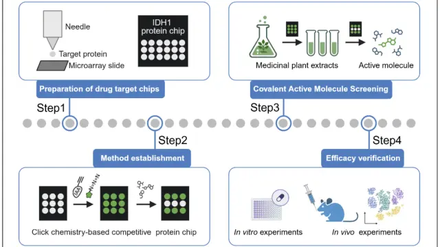 科研助力 | iMeta 发文！药筛新平台，解锁天然药物抗癌新途径