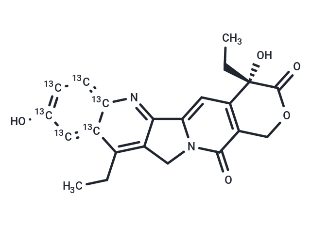 Sn 38-[13C6] (Standard)