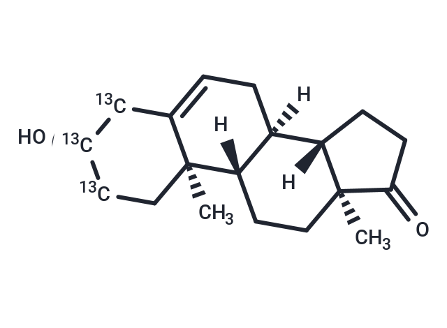 Dehydroepiandrosterone-[13C3] (Standard)