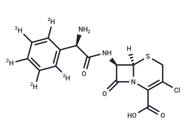 Cefaclor-[D5] (Standard)