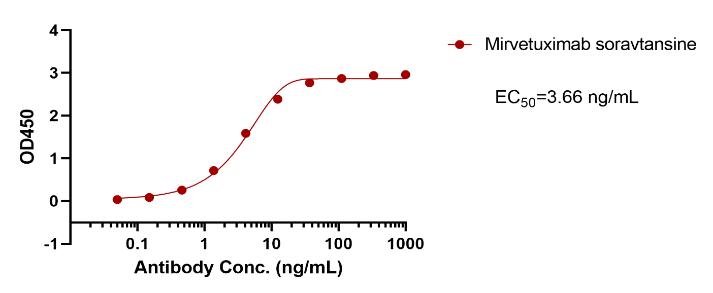 verifiedActivity