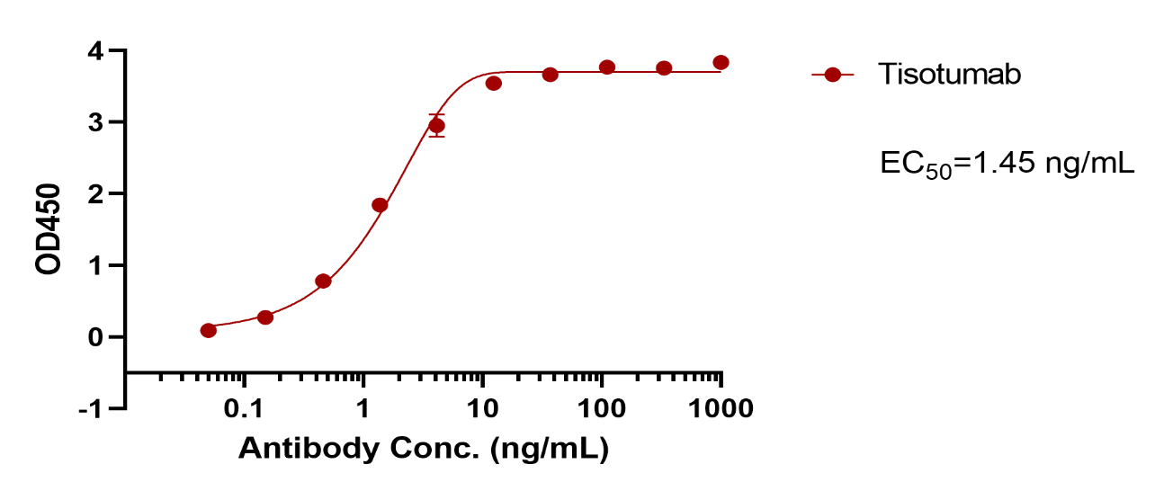 verifiedActivity