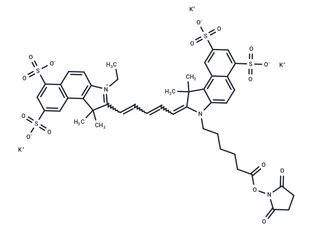 Sulfo-Cy5.5 NHS ester