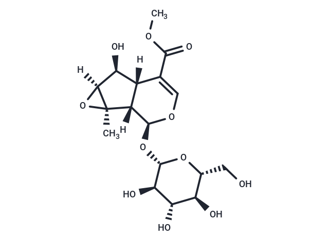 Phlorigidoside C