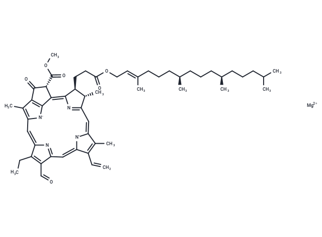 Chlorophyll b