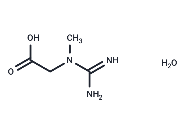 Creatine monohydrate (Standard)