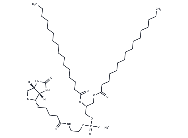 16:0 Biotinyl PE