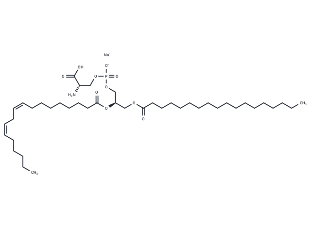 1-Stearoyl-2-linoleoyl-sn-glycero-3-phospho-L-serine sodium