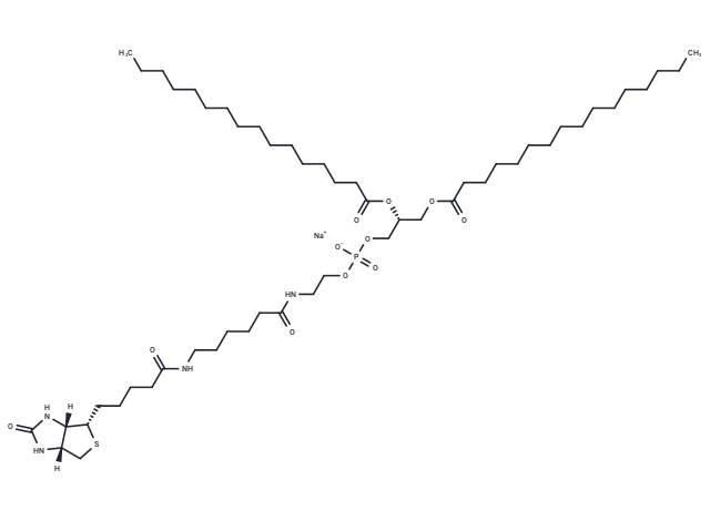 1,2-Dipalmitoyl-sn-glycero-3-PE-N- (cap biotin) (sodium salt)