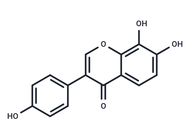 YN1