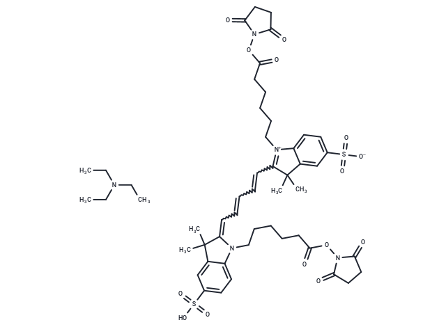 Cy5-bifunctional dye TEA