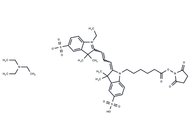 Sulfo-Cy3 NHS ester TEA