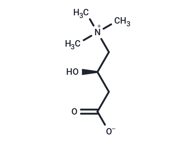 L-Carnitine